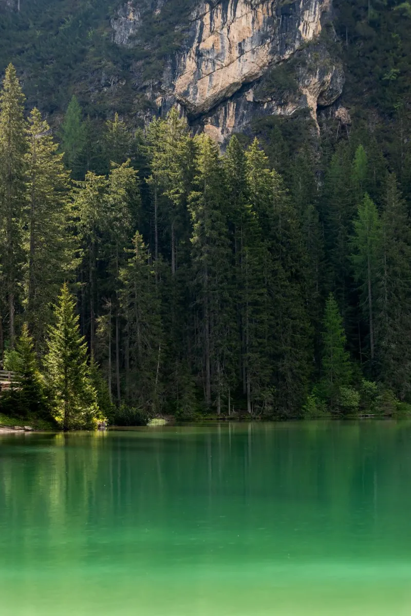Un lago verde nascosto nelle Dolomiti poster da karijn_landscapes