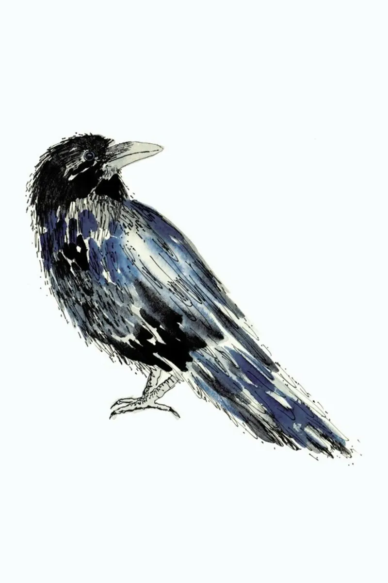 Raven pellicola backlit da Farina Kuklinski
