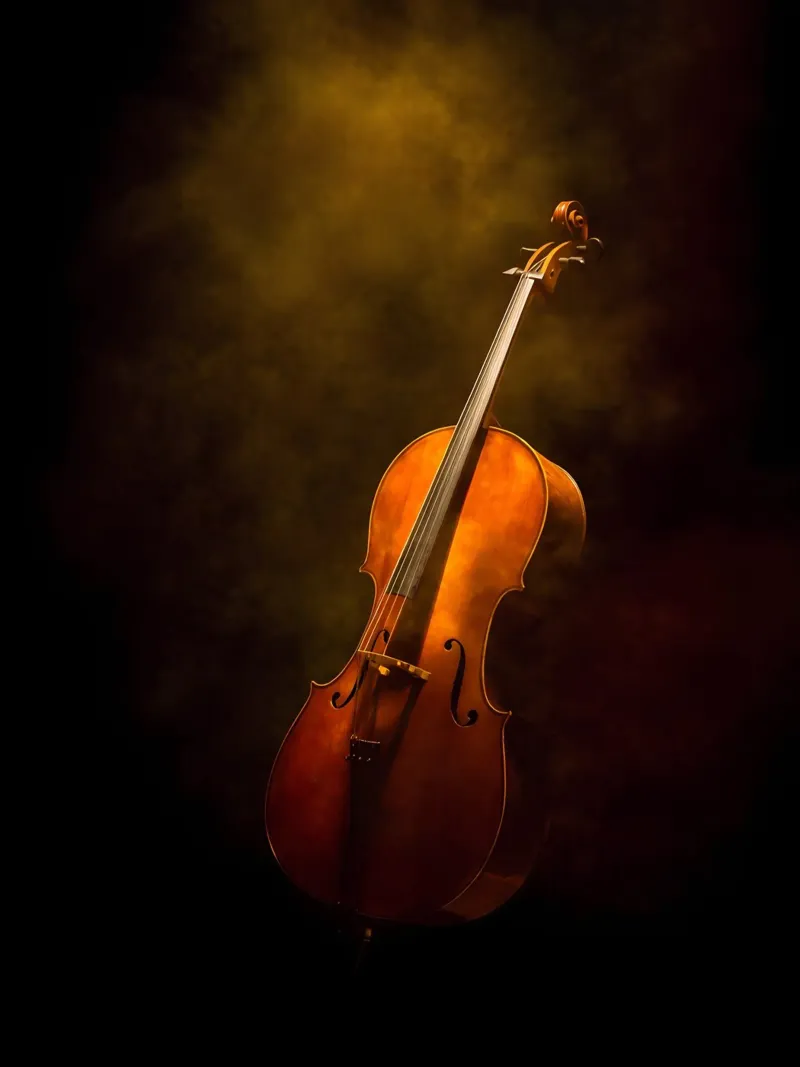 Violoncello Strumento musicale poster con telaio in legno da Musictime
