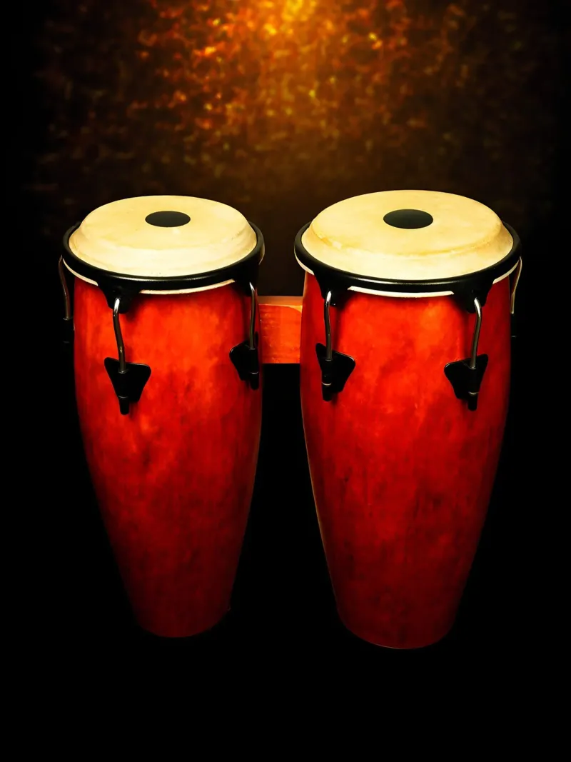 Tamburi conga - Strumento musicale tela da Musictime