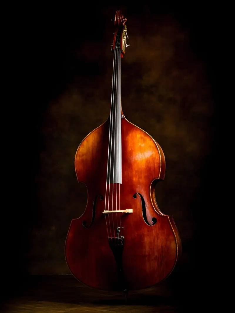 Sagoma di strumento musicale poster con telaio in alluminio da Musictime