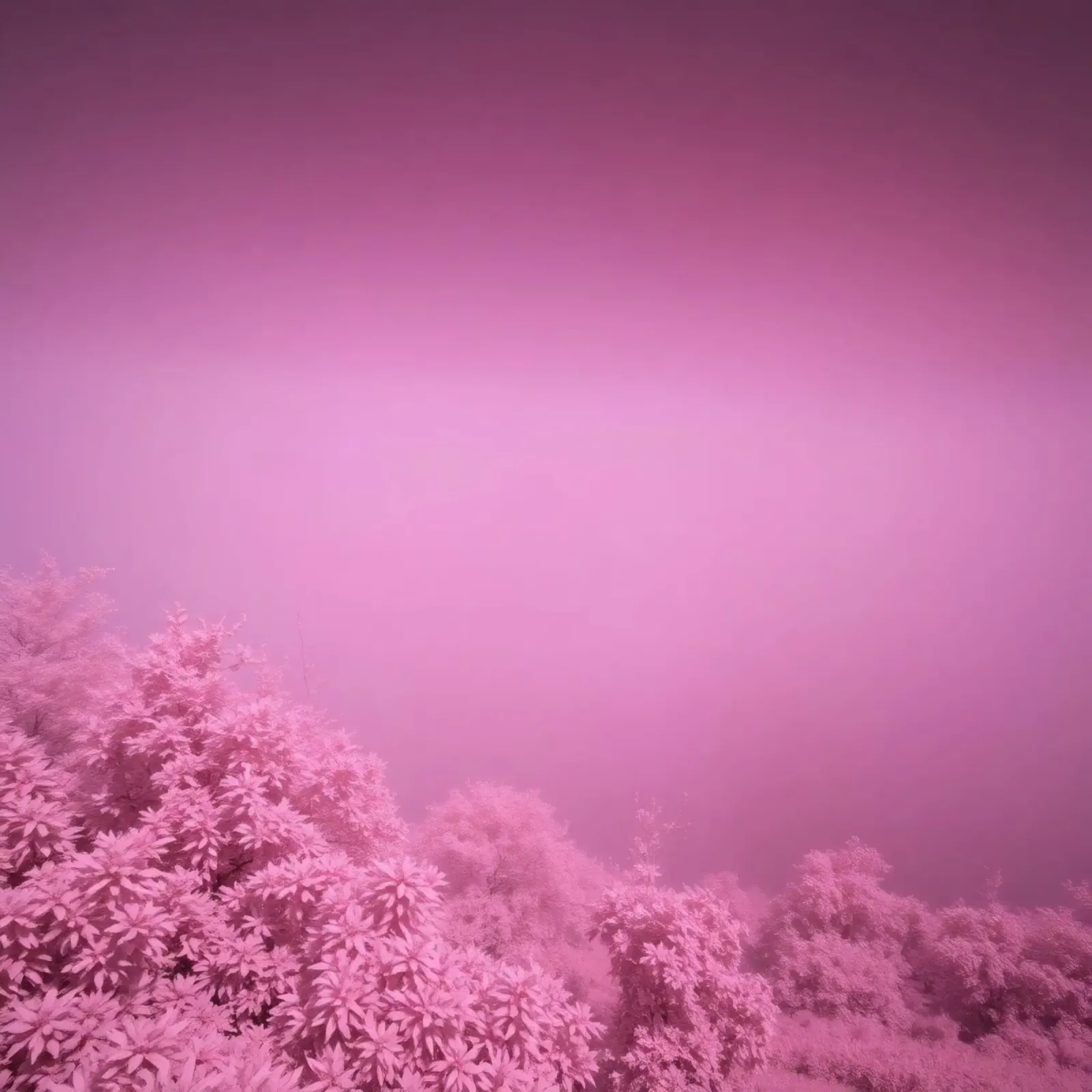 rosafarbene Landschaft mit üppigem Laub bei gedämpftem Licht Hahnemühle von DesignDoodle