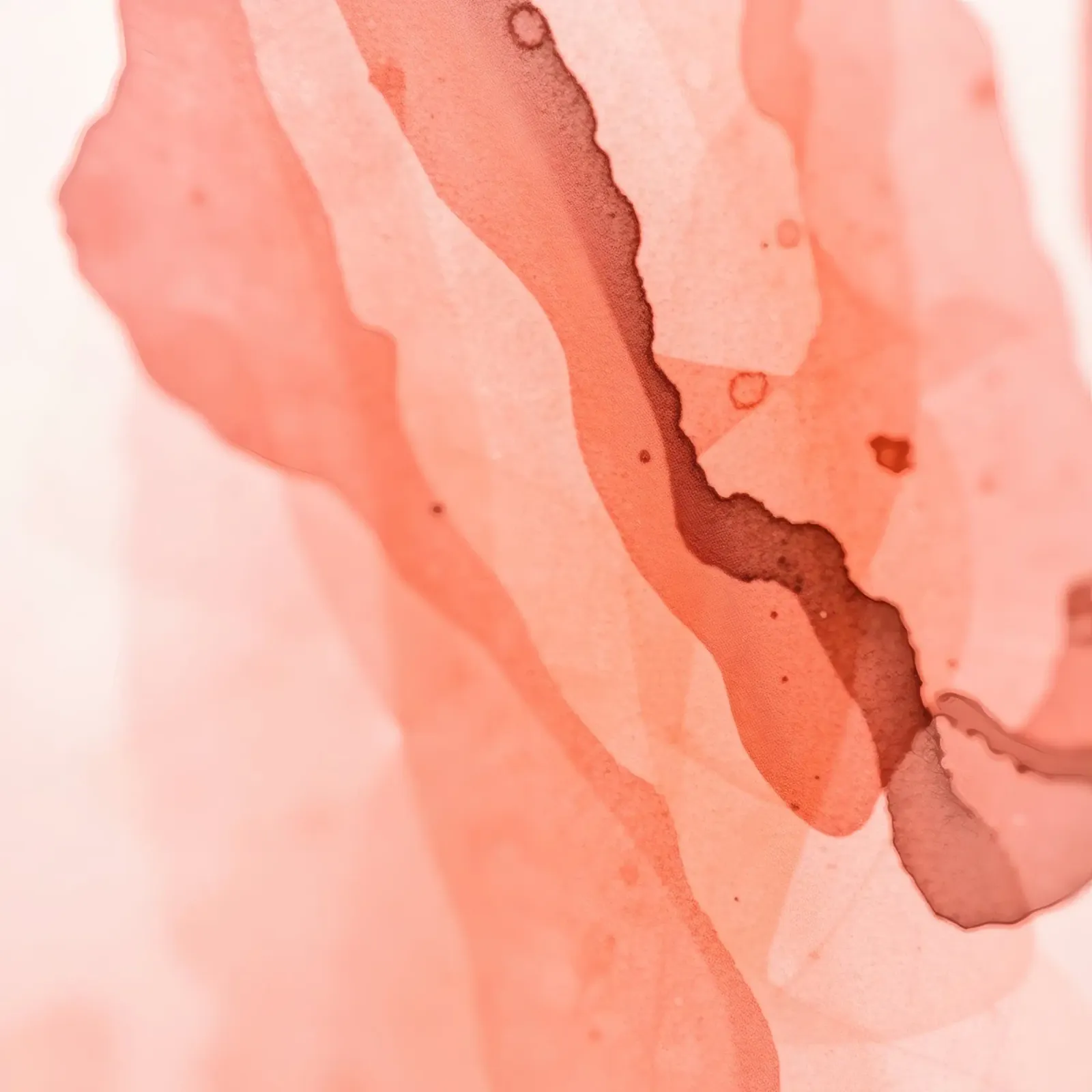 Abstract artwork flowing pink and coral hues blending softly hahnemühle by DesignDoodle
