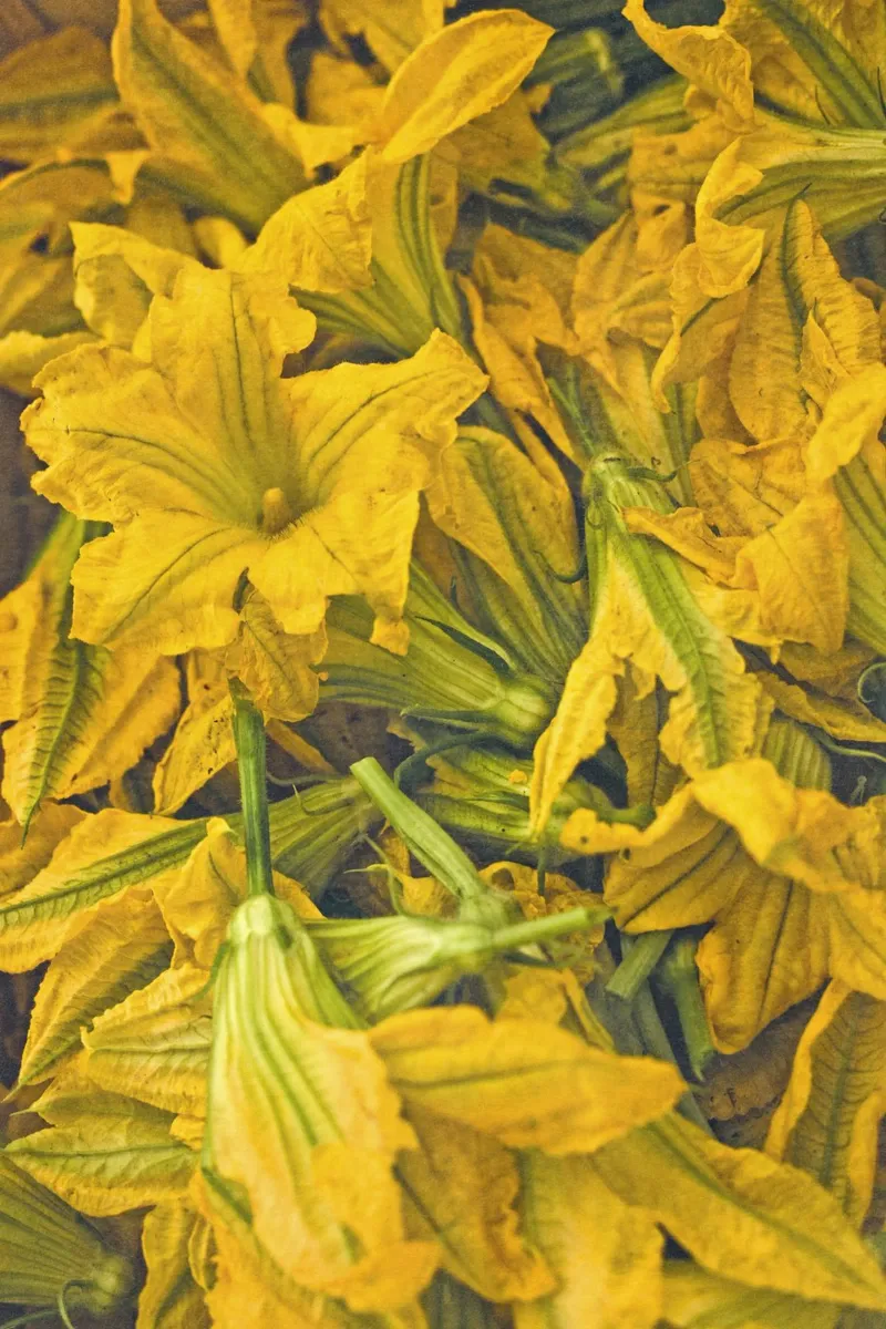 Autunno in Toscana alluminio dibond da PhotoVibe Decor