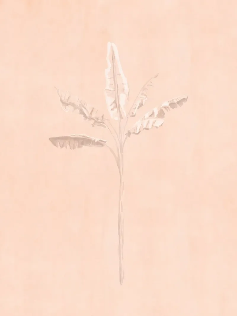 Boho Light Pastel Peach Pink foglie tropicali pianta minimale poster con telaio in legno da This Wild Soul - Illustration