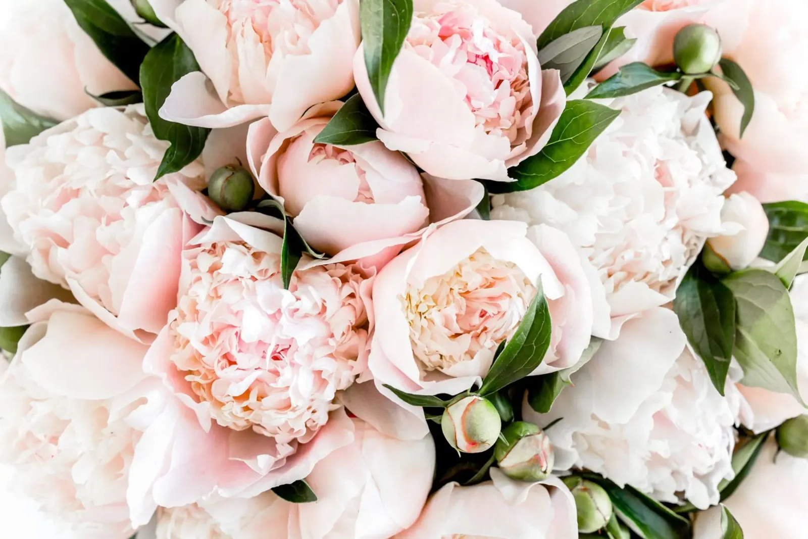 Bouquet of Peonies acrylic glass by PhotoVibe Decor