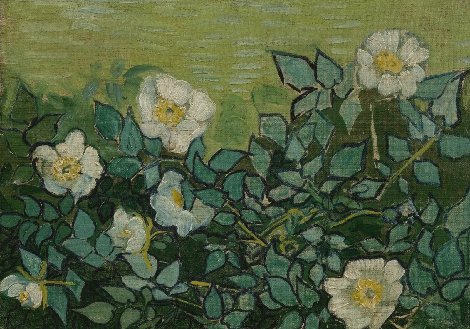 Vincent Van Gogh - Rose selvatiche poster da Timeless Artworks