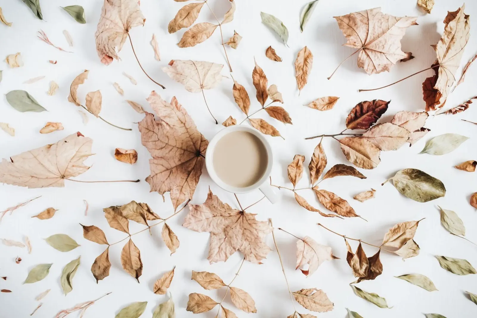 Autunno morbido carta hahnemühle da PhotoVibe Decor