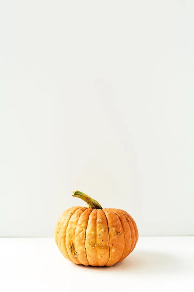 Autunno morbido carta hahnemühle da PhotoVibe Decor