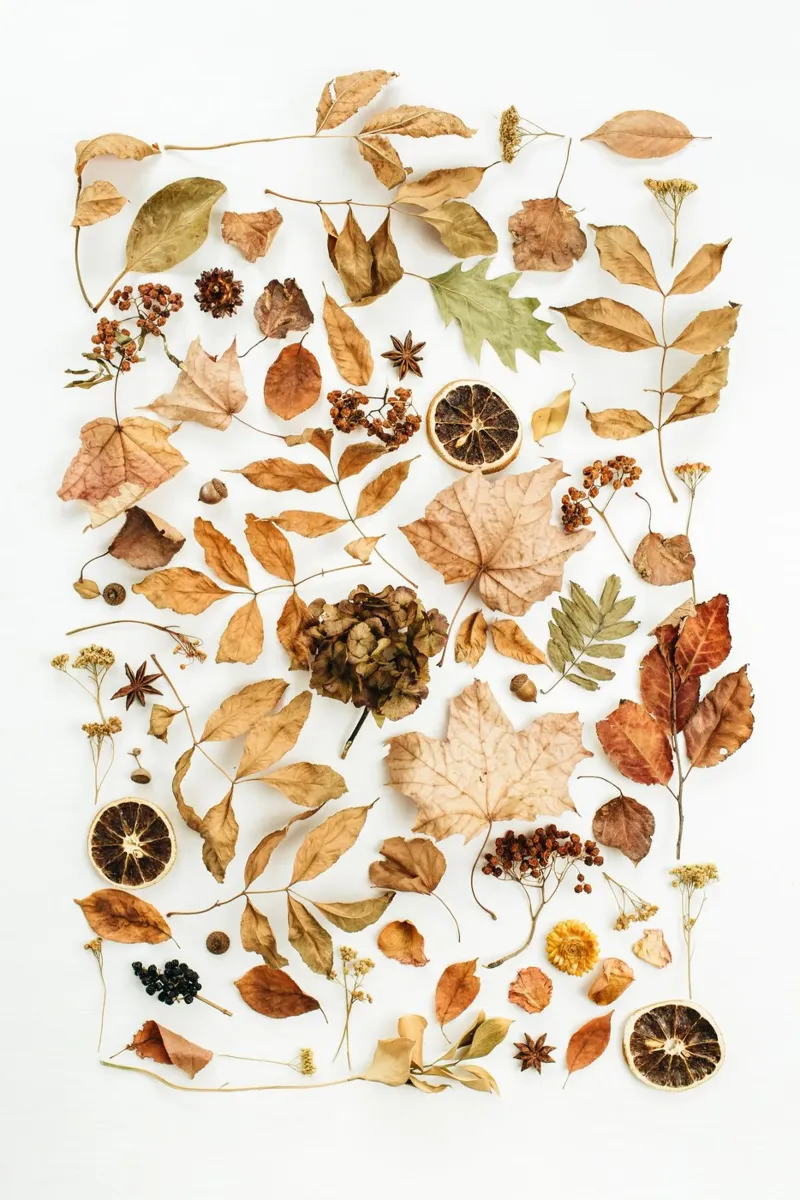 Autunno morbido plexiglass da PhotoVibe Decor