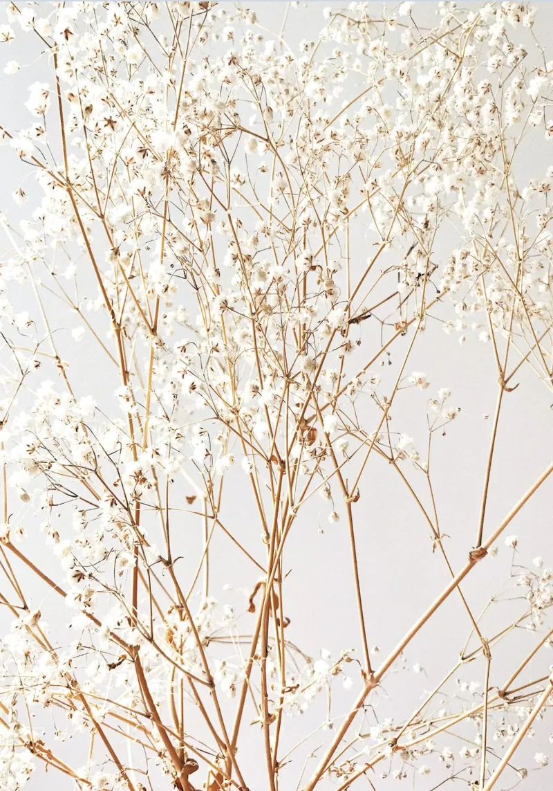 Soft Autumn canvas with Floater frame by PhotoVibe Decor