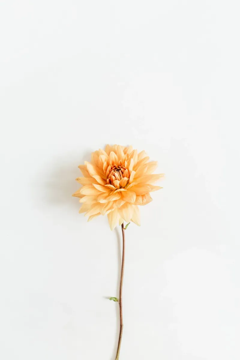 Zachte herfst canvas met Baklijst van PhotoVibe Decor