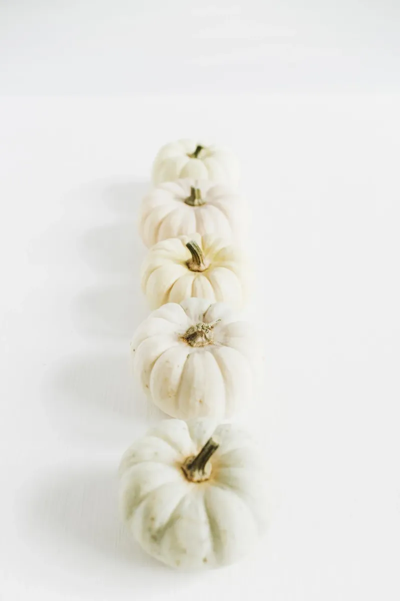 Autunno morbido plexiglass da PhotoVibe Decor
