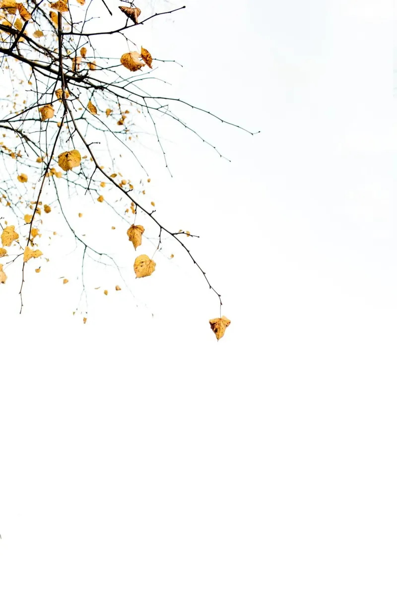Accogliente quiete autunnale carta hahnemühle da PhotoVibe Decor
