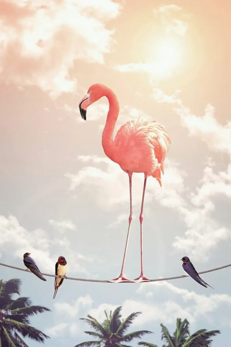 Flamingo and Friends plexiglass da Jonas Loose