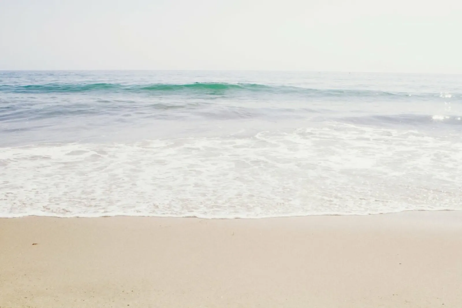Malibu pellicola backlit da Catherine McDonald