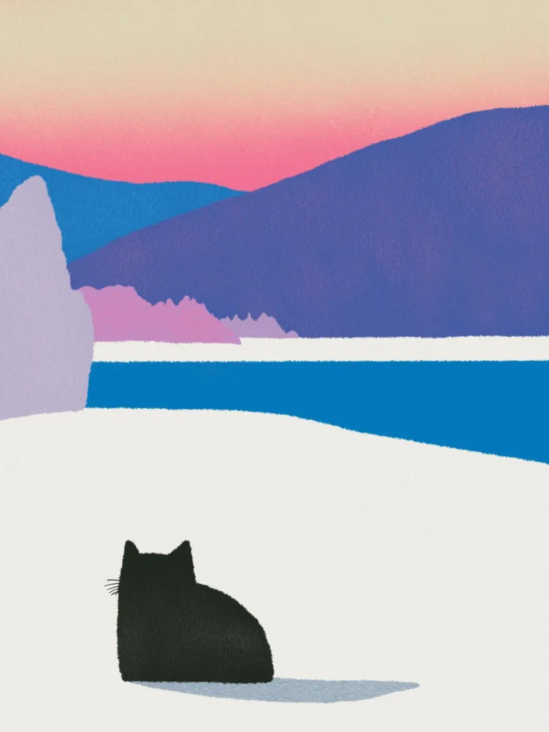 Pelliccia nera nella neve bianca poster da Little Dean