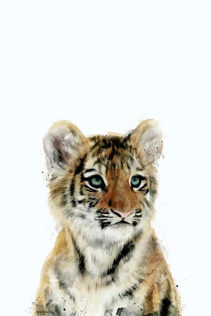 Little Tiger hahnemühle by Amy Hamilton