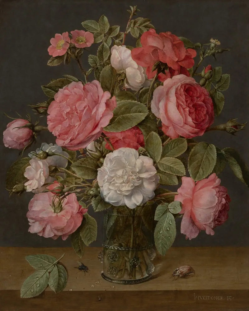 Jacob van Hulsdonck - Rose in un vaso di vetro. 1640 - 1645 pellicola backlit da Timeless Artworks