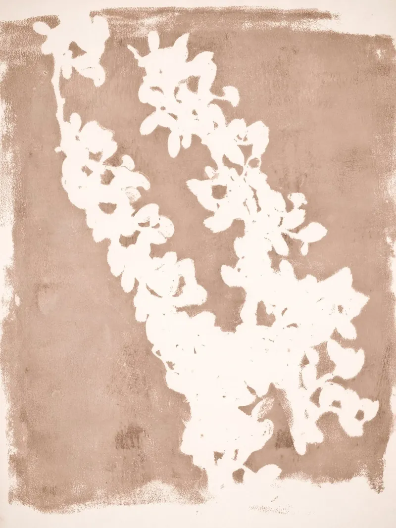 botanical reminiscences 3 carta hahnemühle da IRIS LEHNHARDT FINE ART