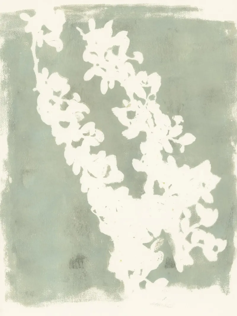 botanical reminiscences 3 - soft green plexiglass da IRIS LEHNHARDT FINE ART