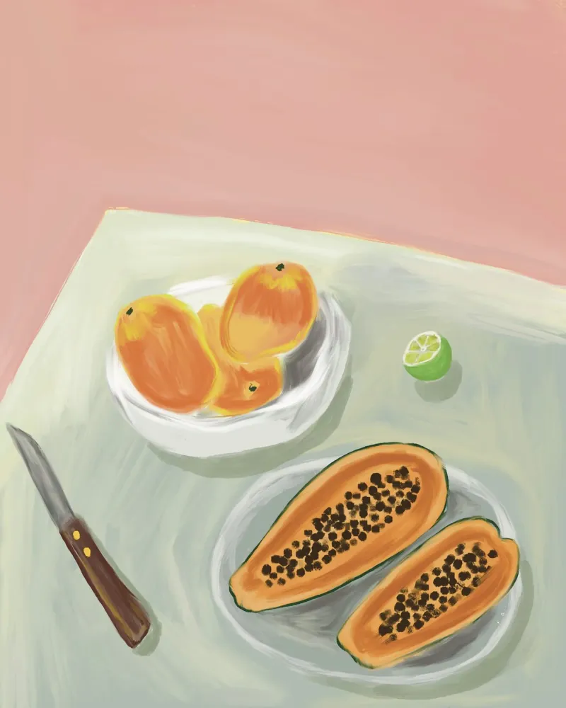 A brazilian table canvas by tainah negreiros