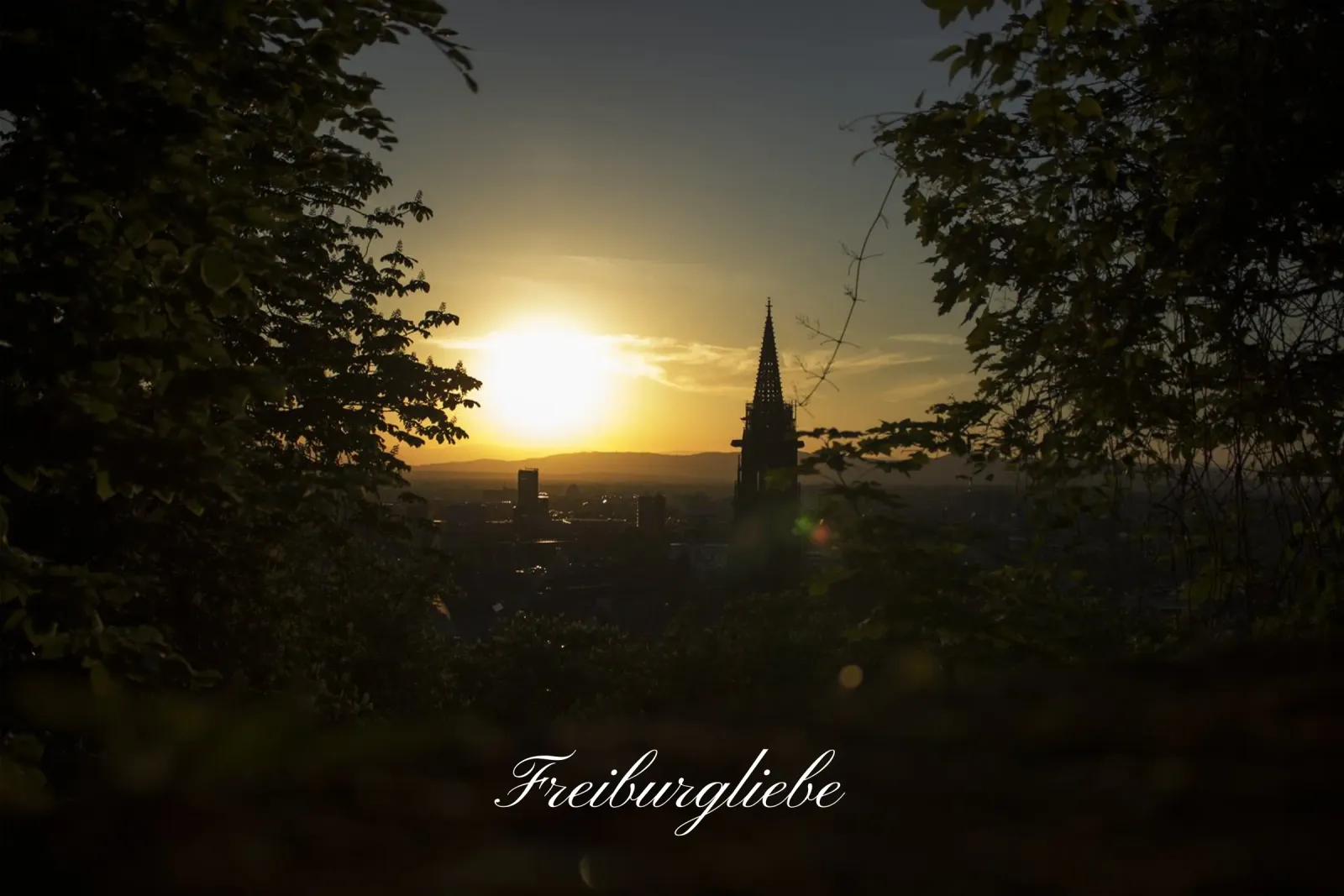 Amore a Friburgo pellicola backlit da corvinamedia.design