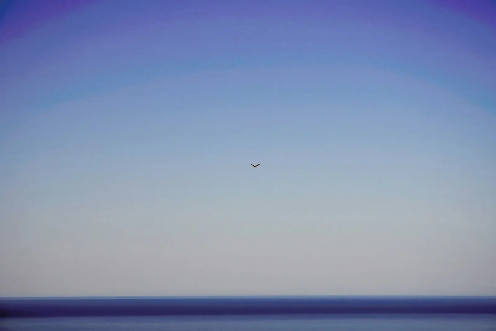 Free Flight pellicola backlit da Nur Mut