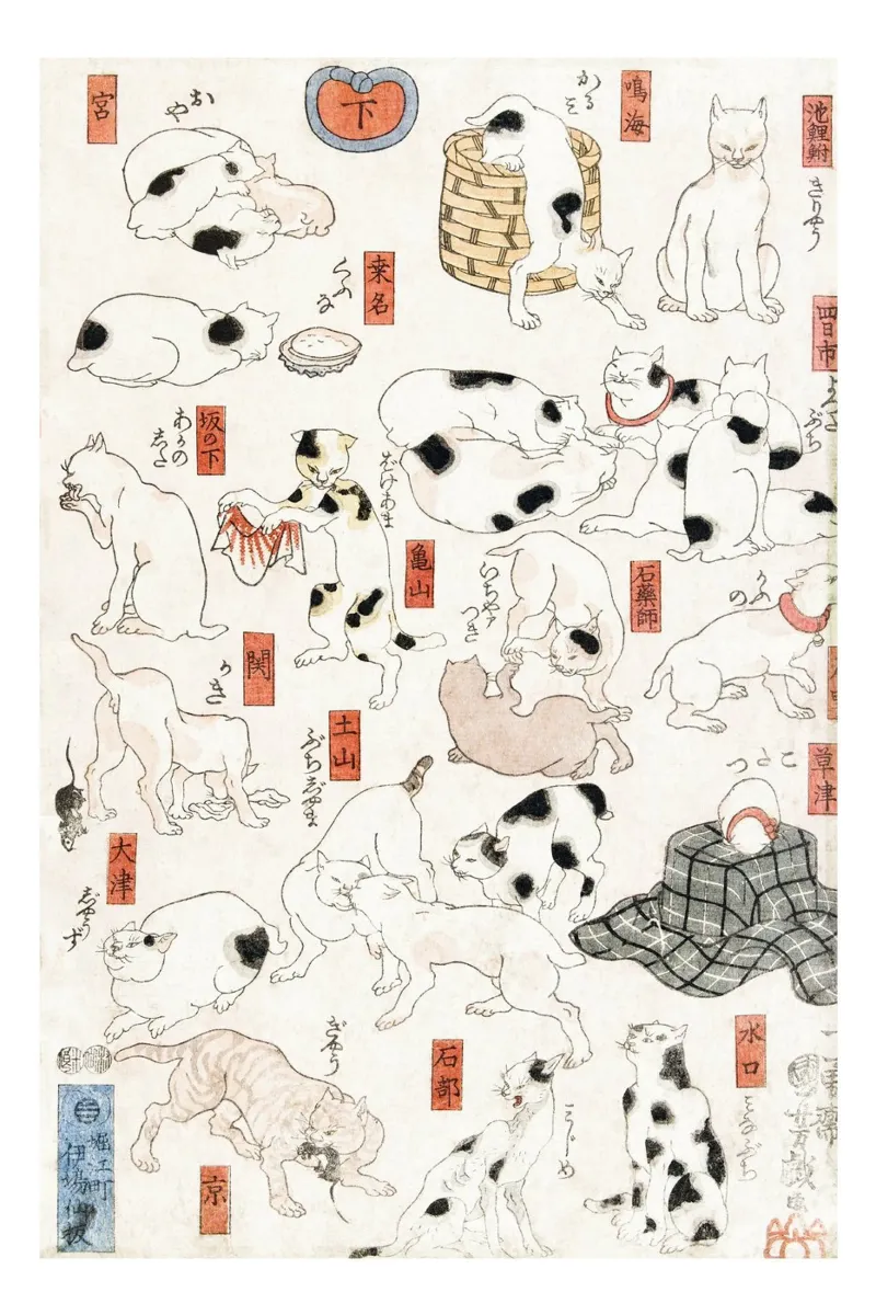 Cats - Utagawa Kuniyoshi tela con Cornice a cassetta da Second Canvas