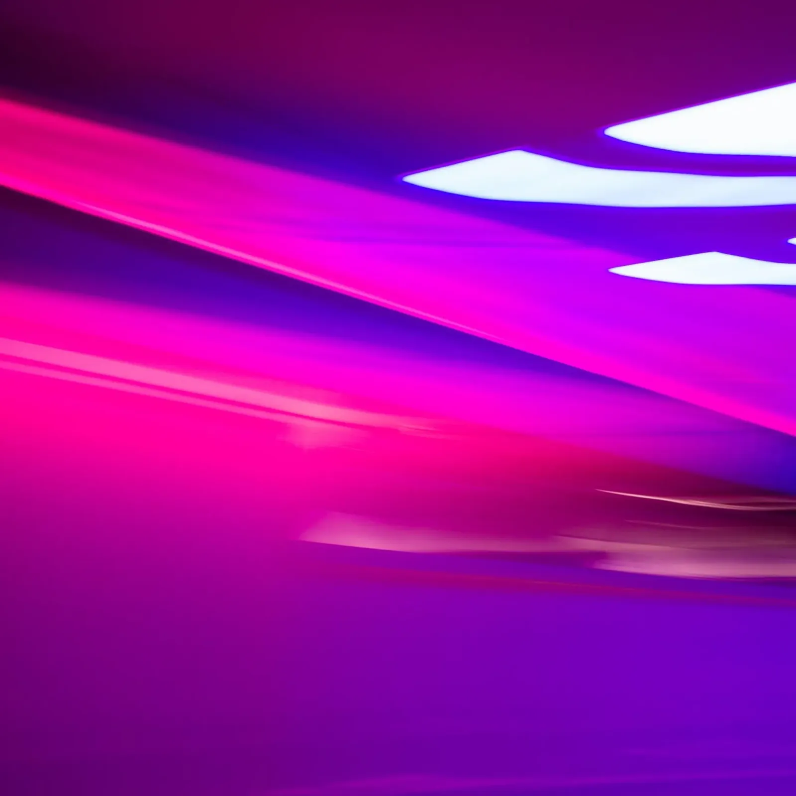 PINK SPEED pellicola backlit da Flo Klein