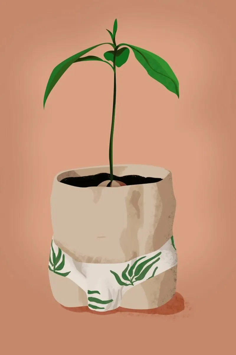 Avocado Slip tela con Cornice a cassetta da Julia Marquardt-Lott