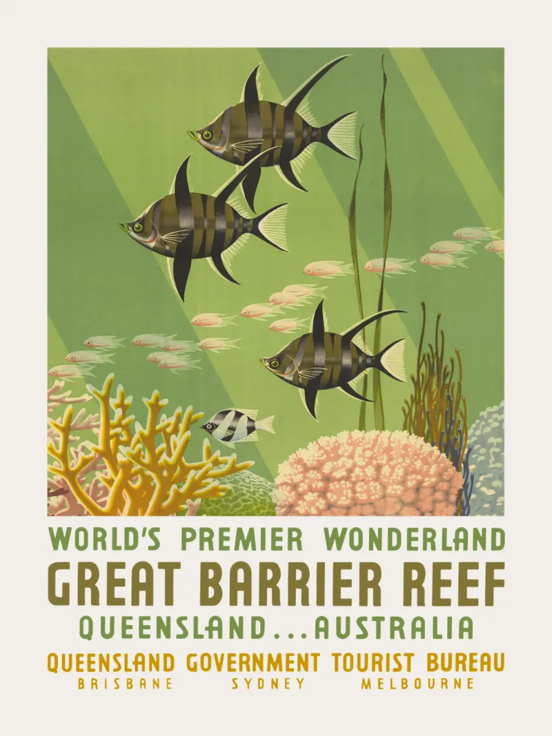 Groot Barrièrerif, Queensland, Australië canvas met Baklijst van Vintagrafica