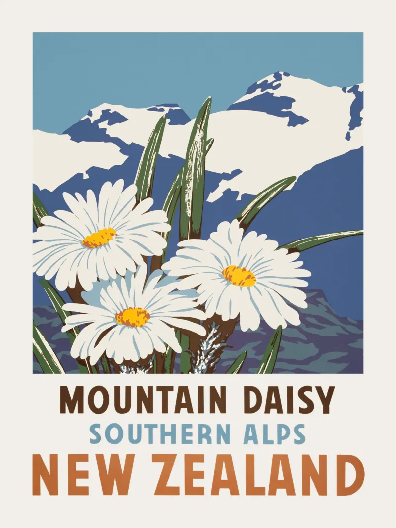 Margherita di montagna, Alpi meridionali, Nuova Zelanda poster da Vintagrafica