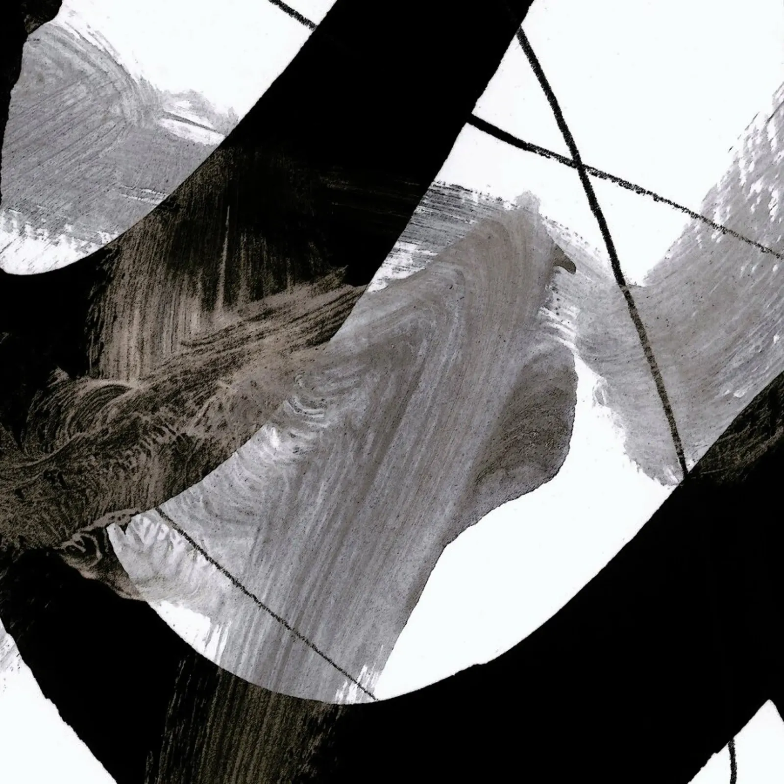 bs 2 plexiglass da IRIS LEHNHARDT FINE ART