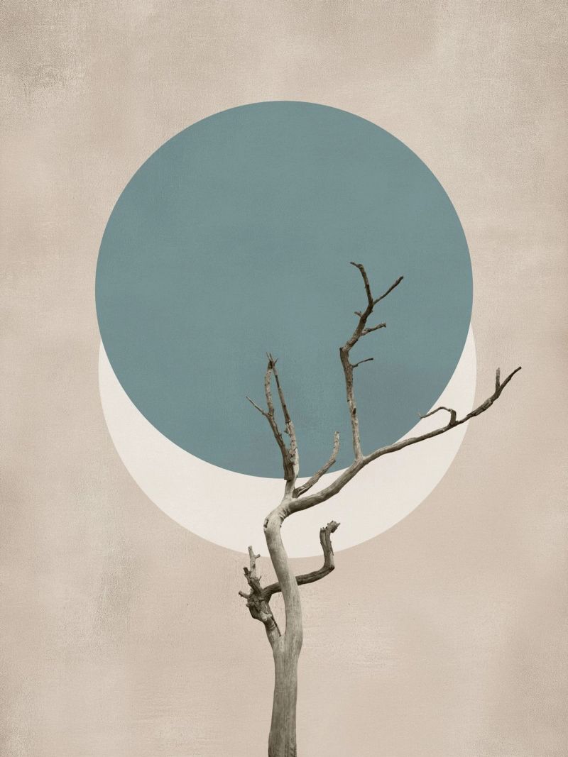 La nature en cercles poster de Carinaprint