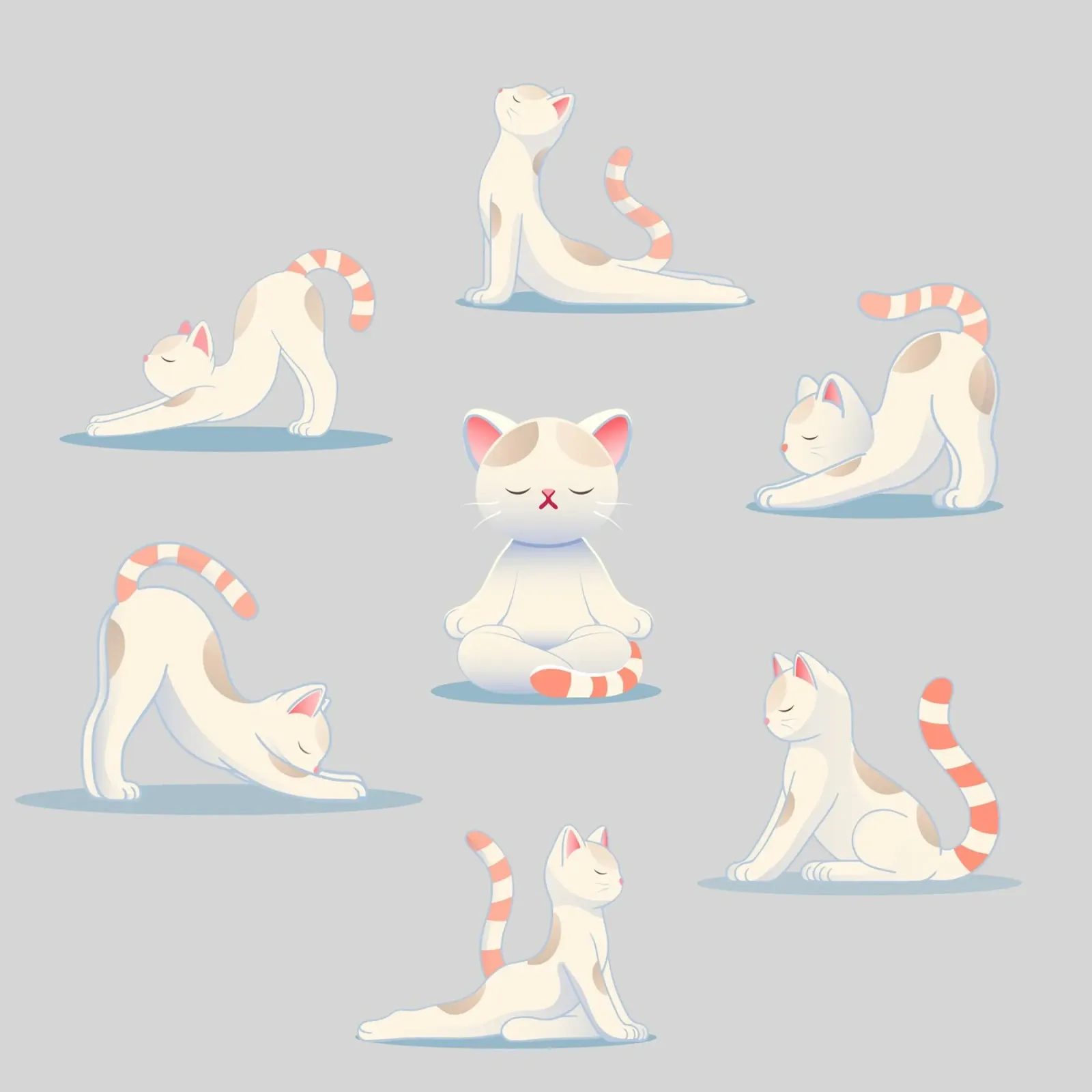 Gatto in posizione yoga - rilassamento e mindfulness alluminio dibond da namosh