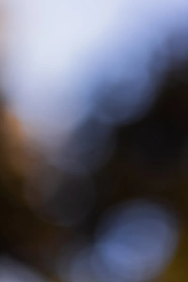 Blurred 22 alluminio dibond da Mareike Böhmer Photography