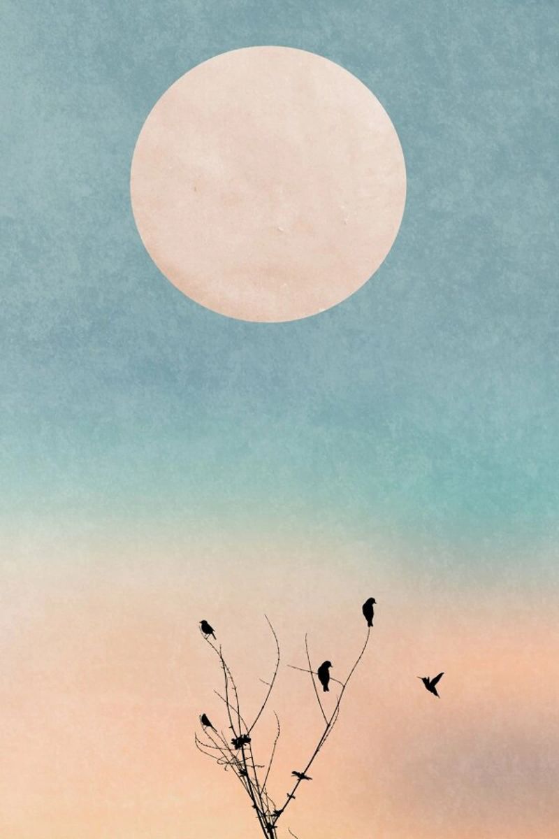 Waking Up Warm Poster von Kubistika