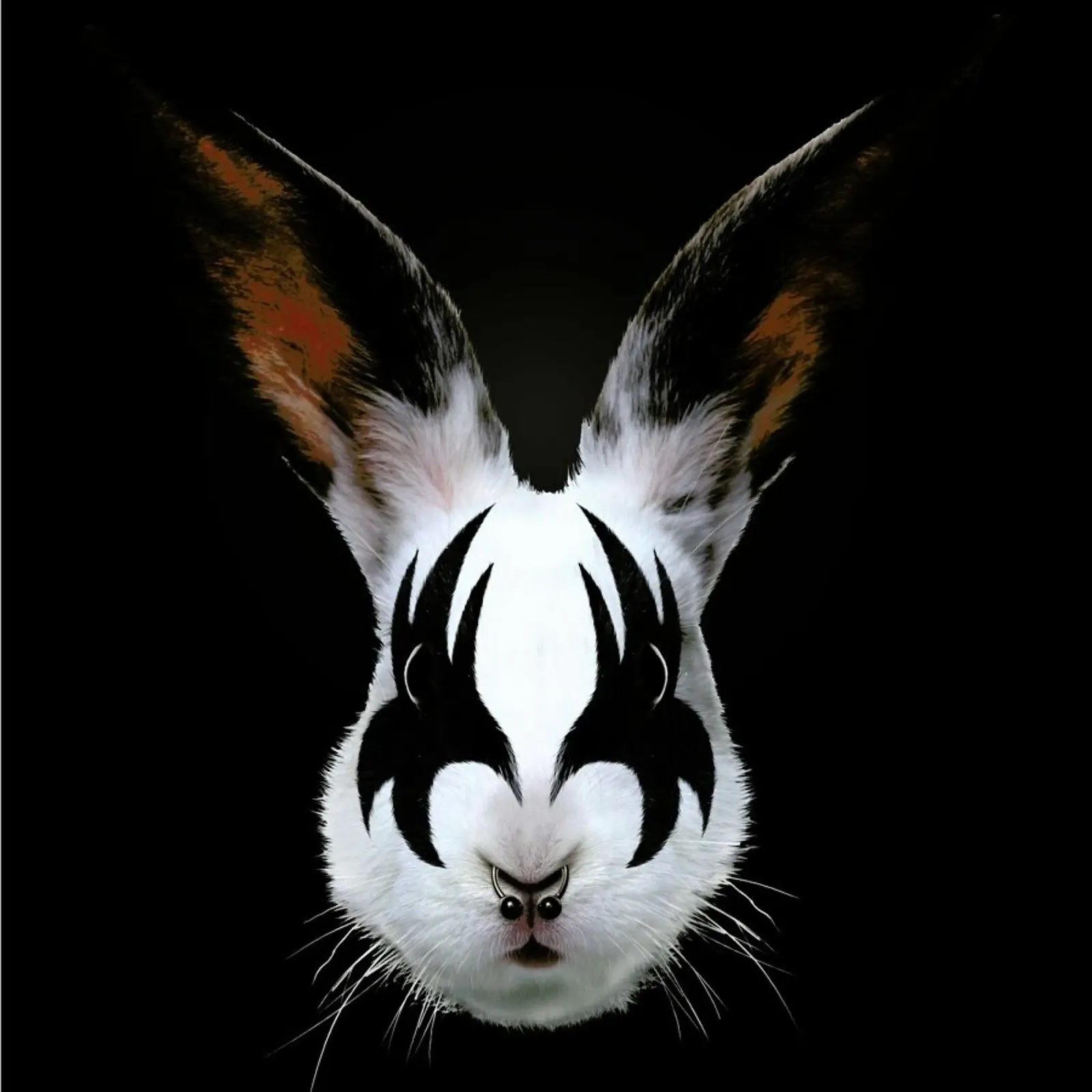 Kiss Of A Rabbit pellicola backlit da Róbert Farkas