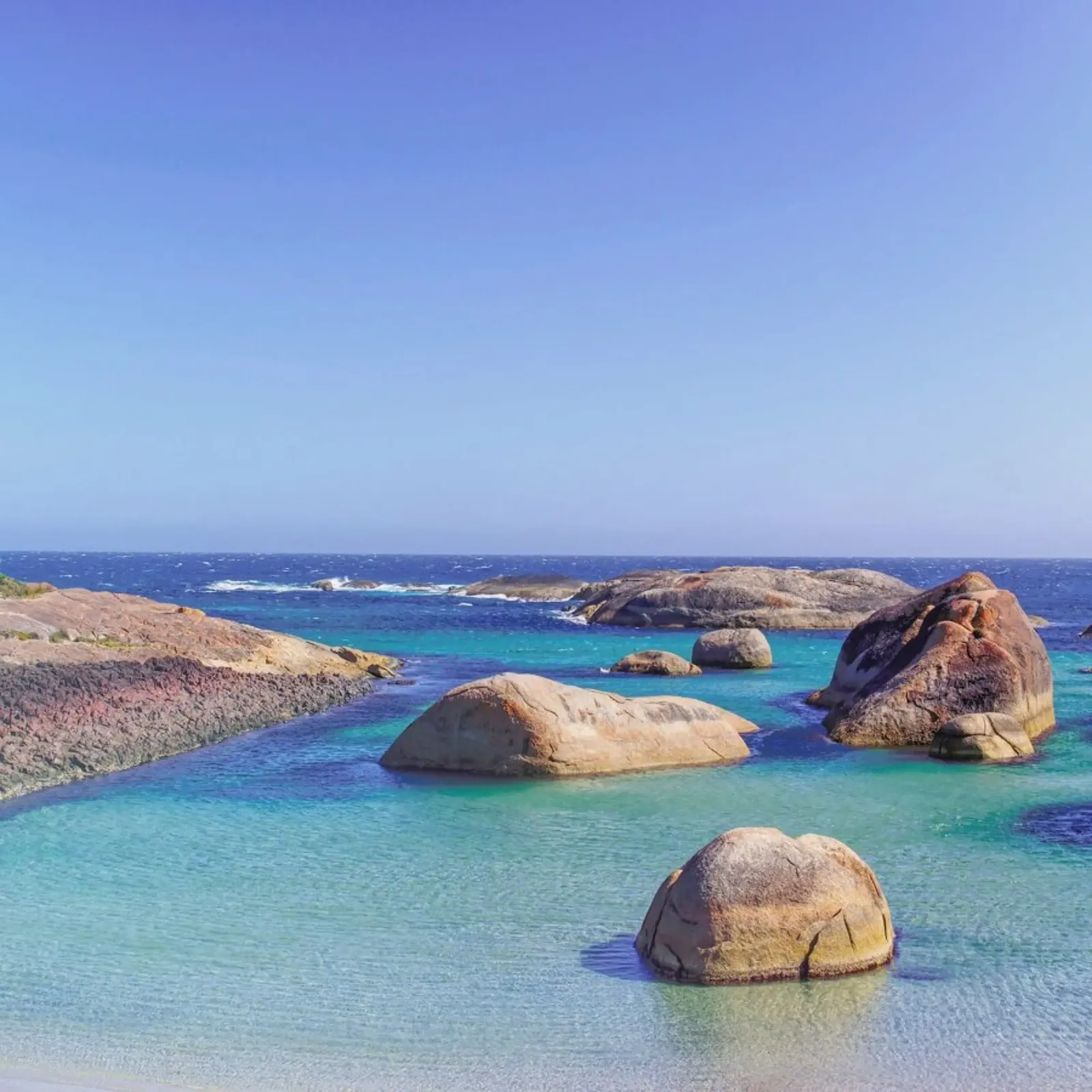 Elephant Cove pellicola backlit da Nur Mut