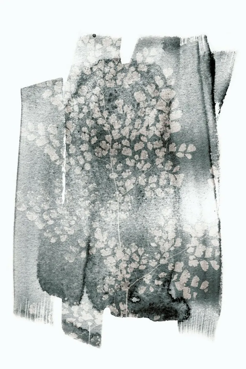 Imperfect Fern pellicola backlit da Shot By Clint