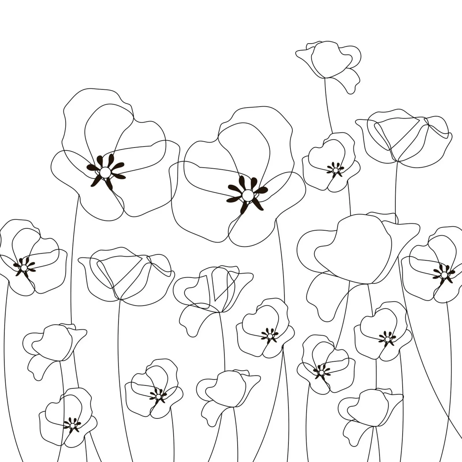 Poppy Flowers Line Art Hahnemühle von Dharma