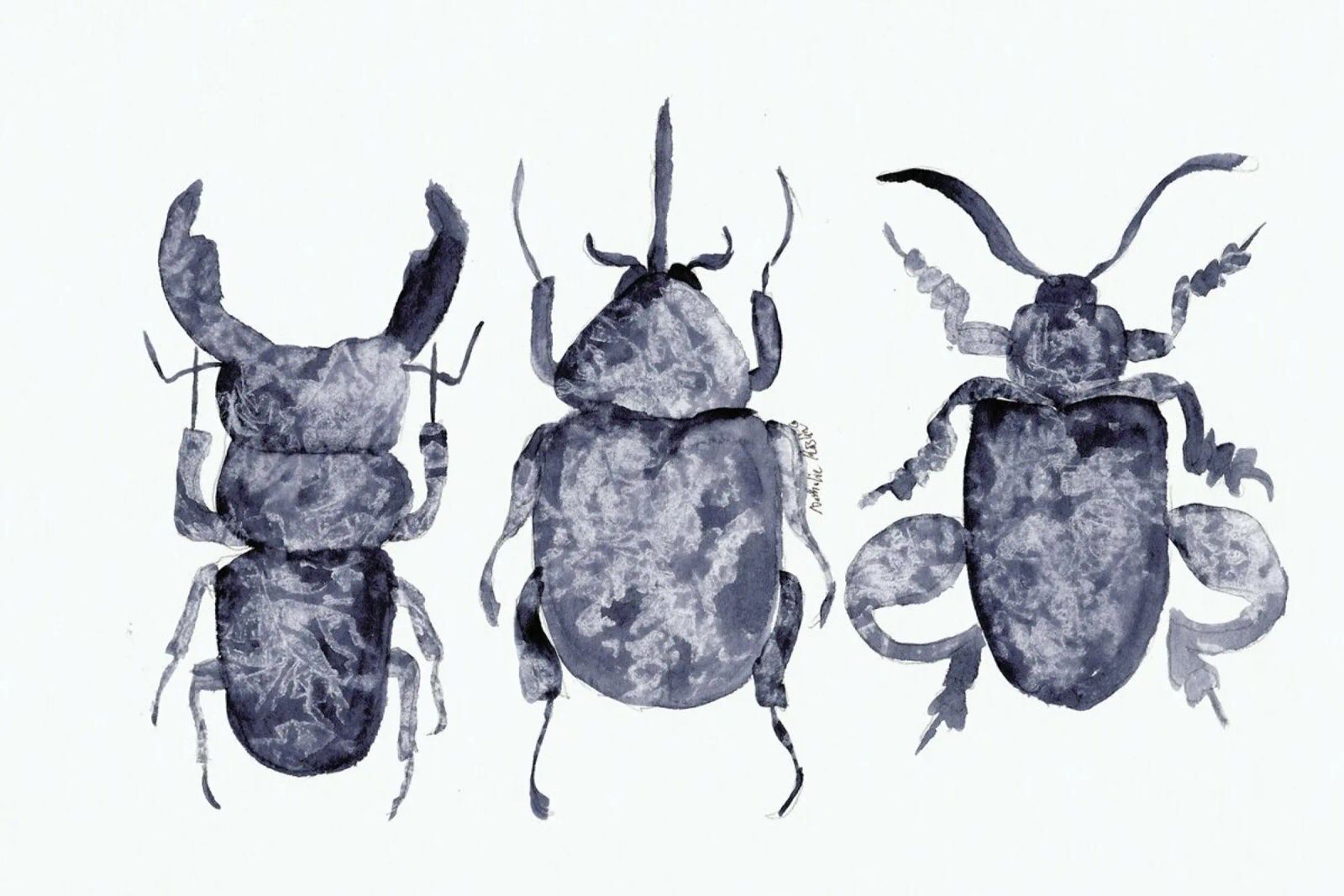 The Beetle Show poster by Nathys_illustration