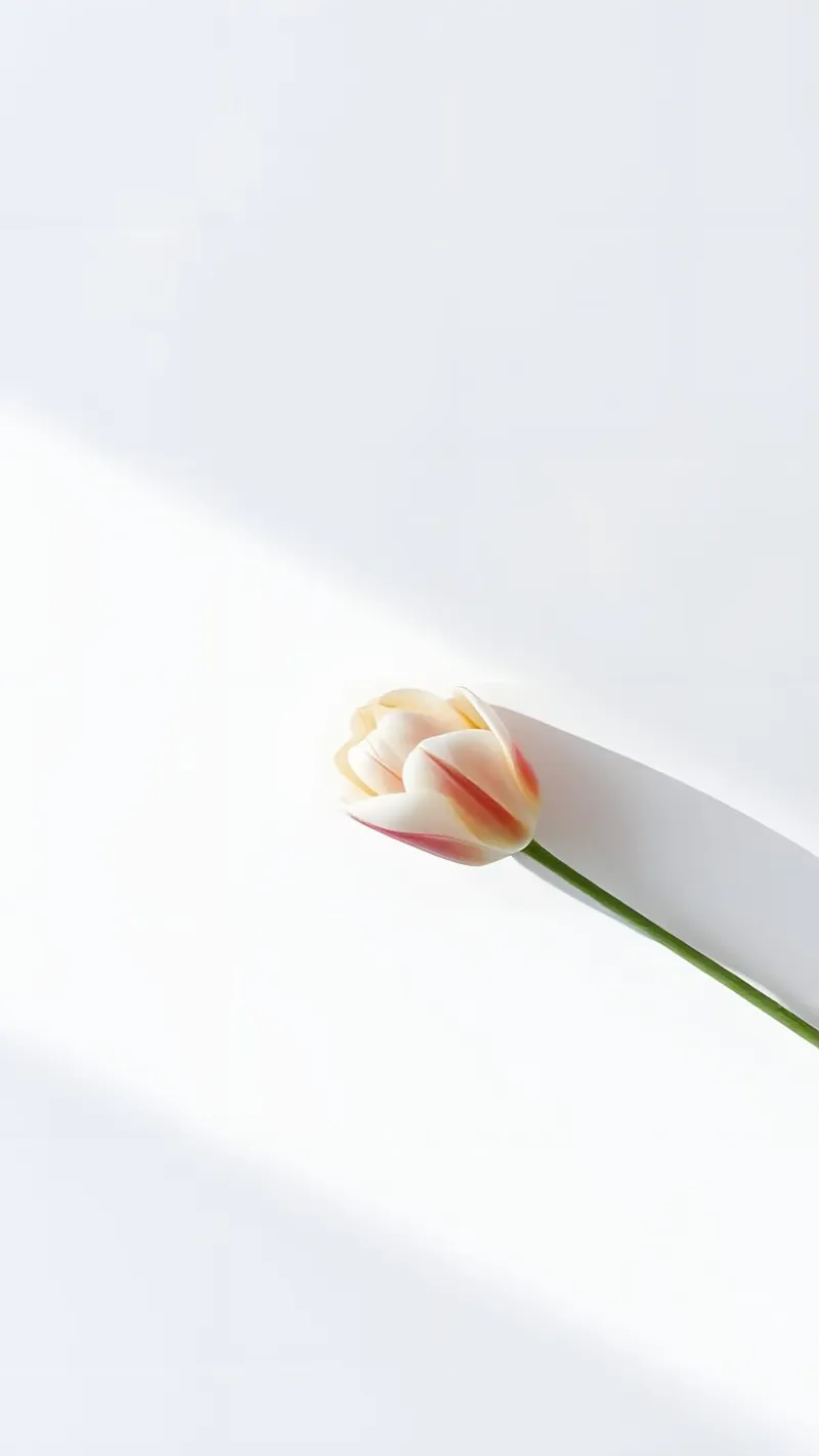 bloemenminimum canvas met Baklijst van mazzihanq