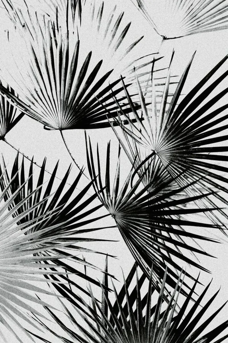 Tropical #5 poster con telaio in legno da STUDIO LEEMO