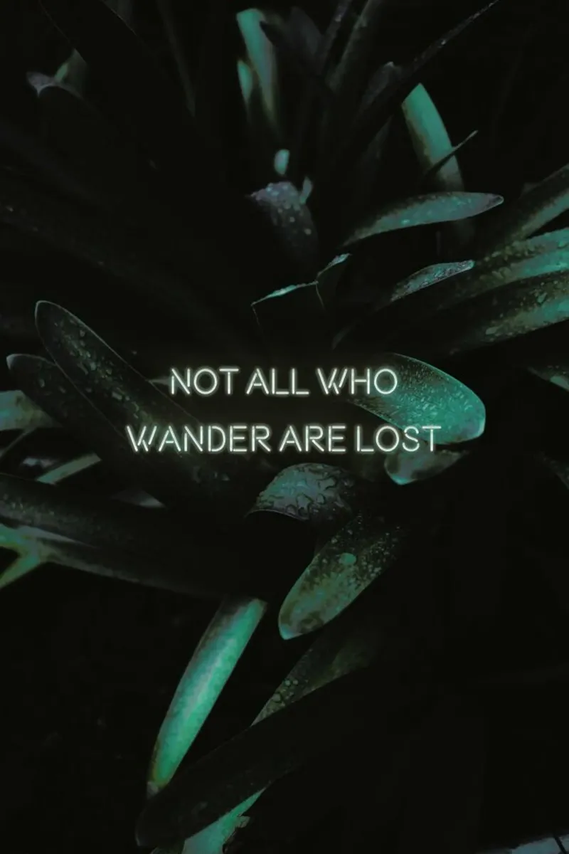 Not all who wander pellicola backlit da Oh Darling