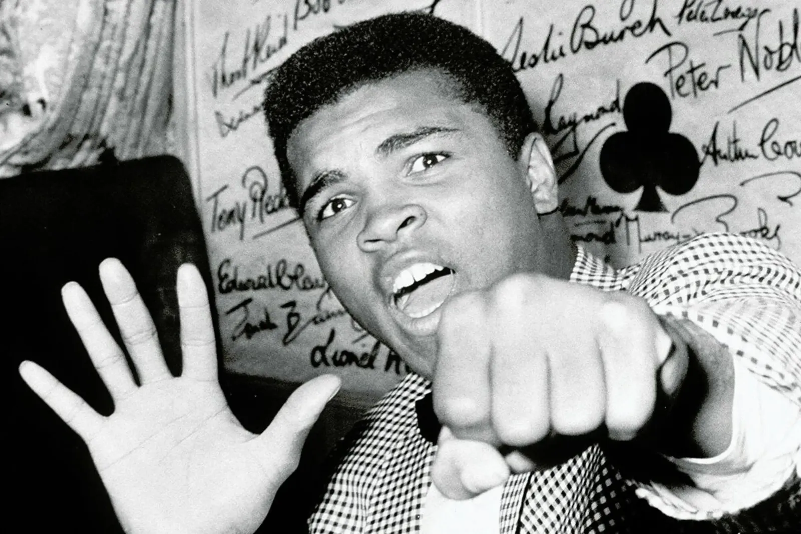 Muhammad Ali - The Greatest pellicola backlit da Gallery Print and Art Limited