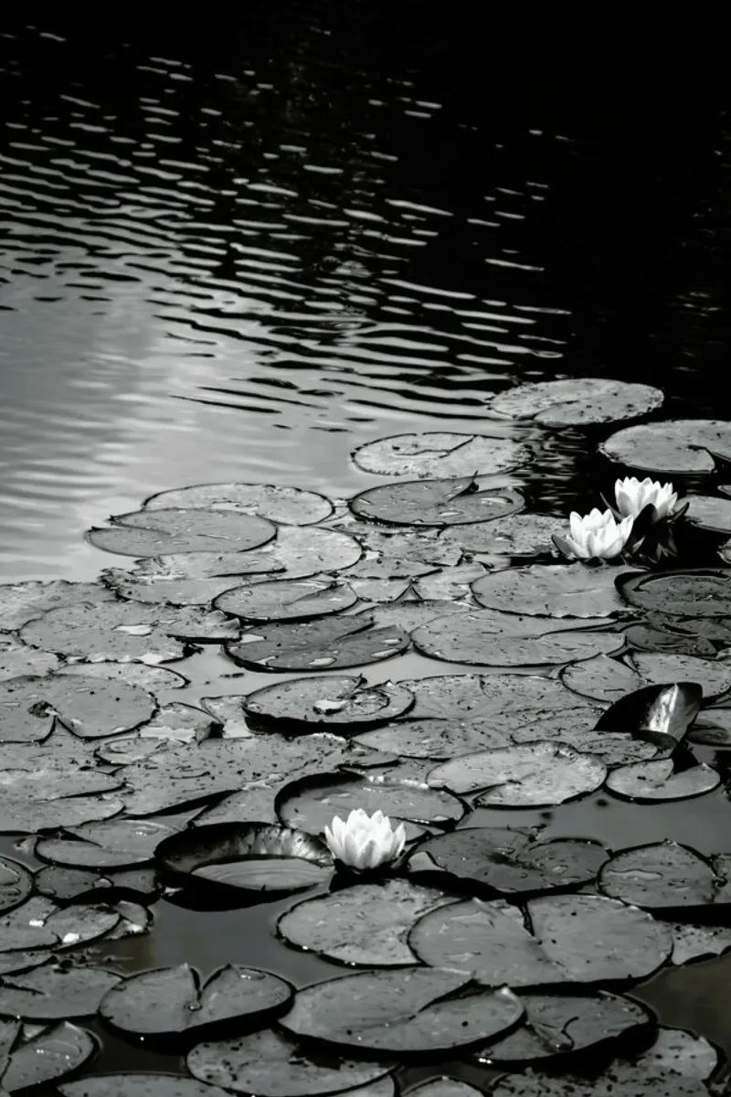 Floating on the Water pellicola backlit da Studio Nahili