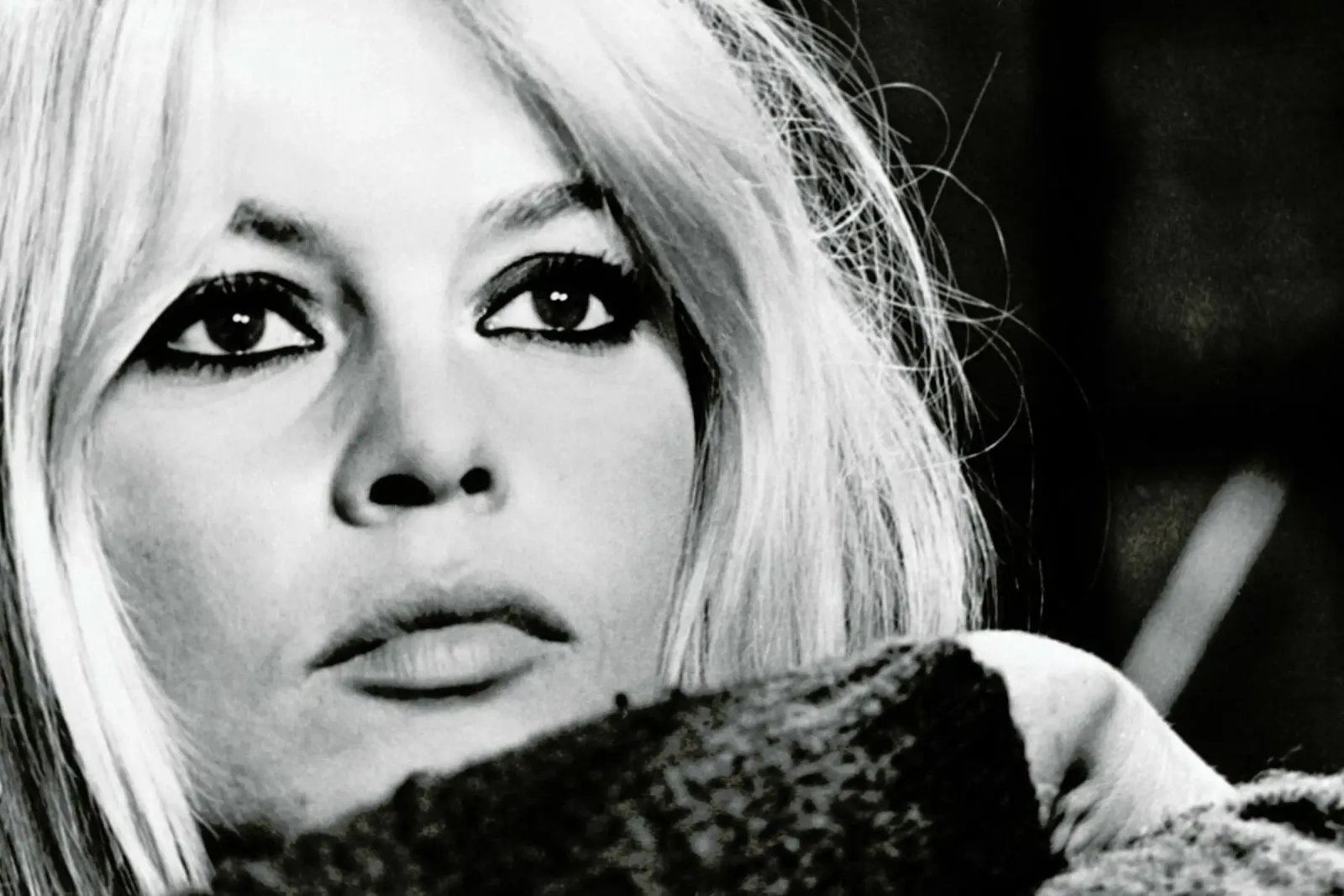 Brigitte Bardot 4 pellicola backlit da Gallery Print and Art Limited