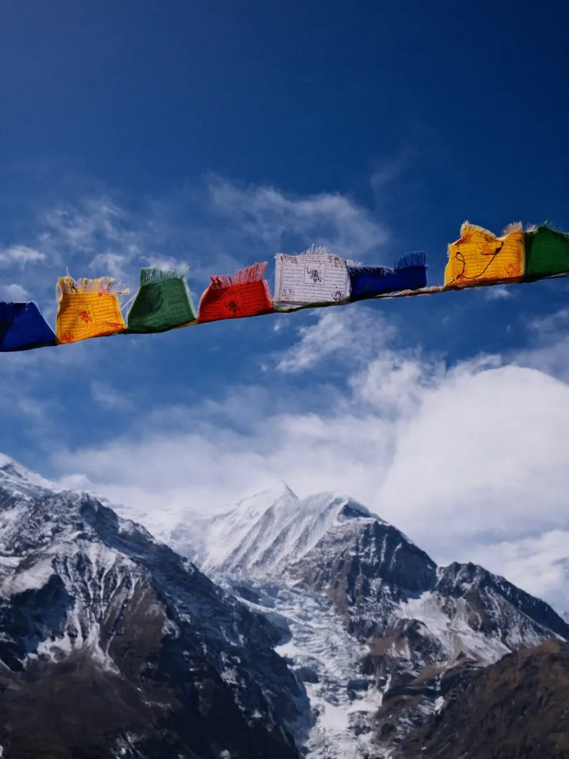 Himalayan Serenity pellicola backlit da FujiPrints